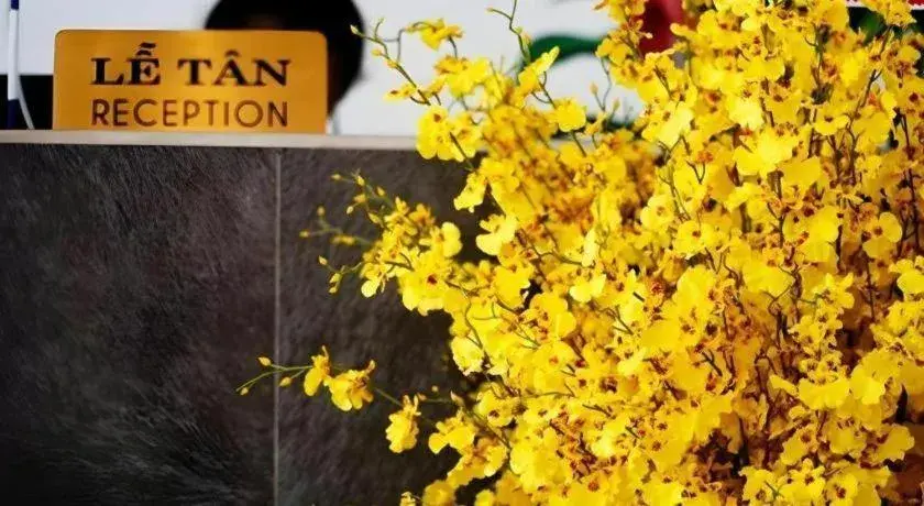 Green Oasis Hotel Green Oasis Hotel