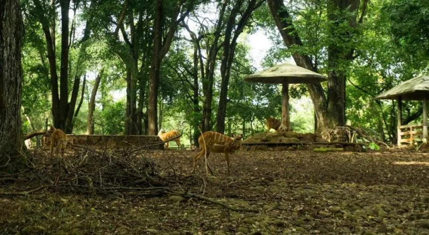 OYO 1580 D'rhea Syariah