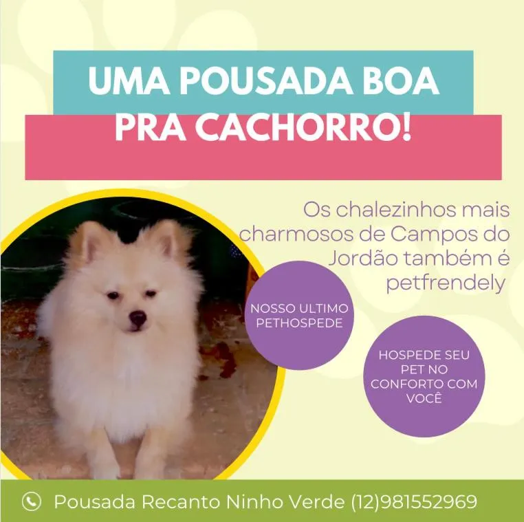 Text overlay in Pousada Recanto Ninho Verde Chalés