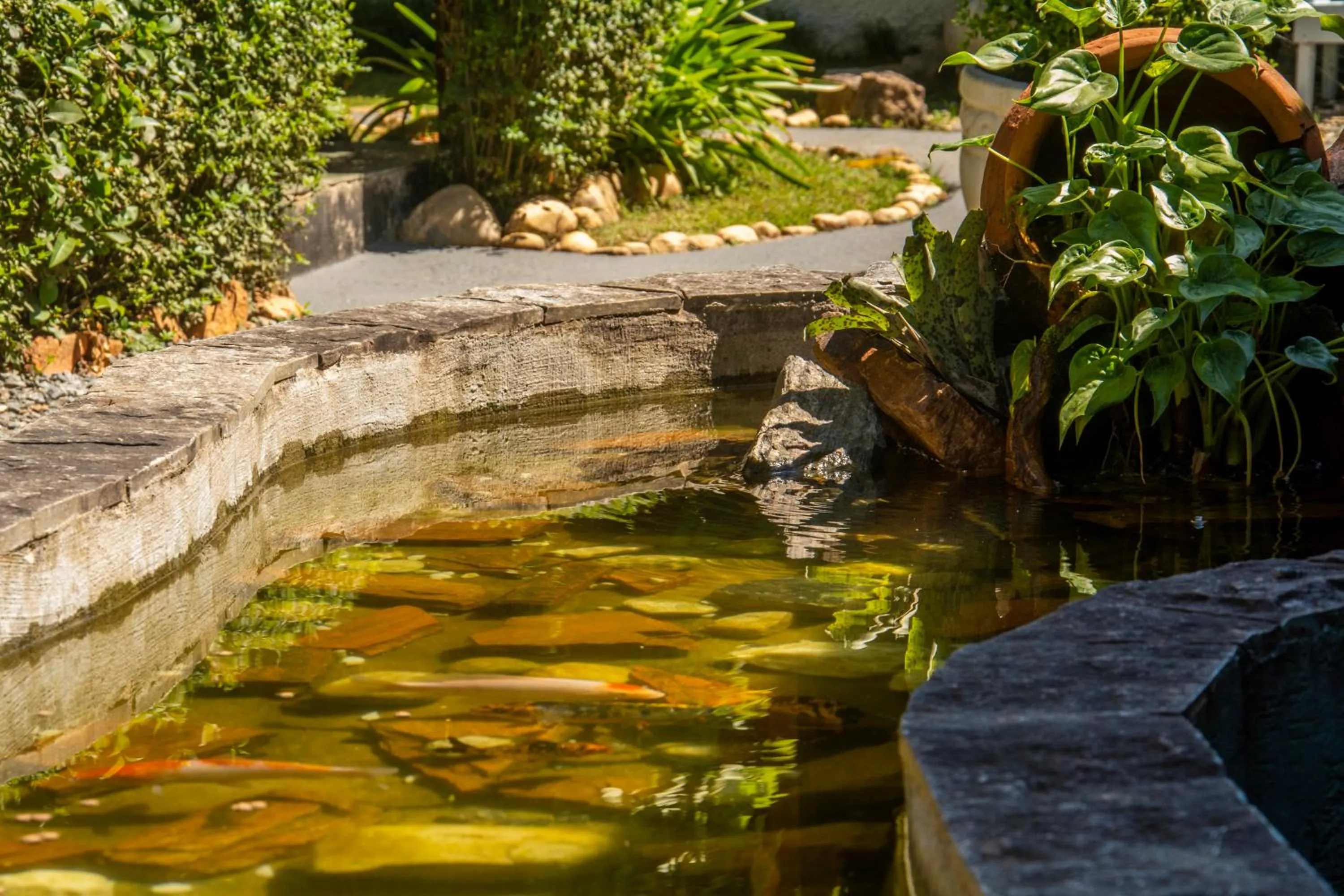 Garden in Pousada Recanto Ninho Verde Chalés