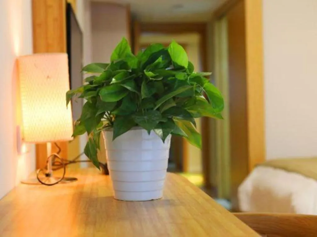 Bed in Vatica Hangzhou Linan Qianwang Street Hotel