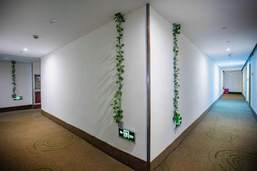 GreenTree Inn Shanghai National Convention and Exhibition Center Huaxiang Road