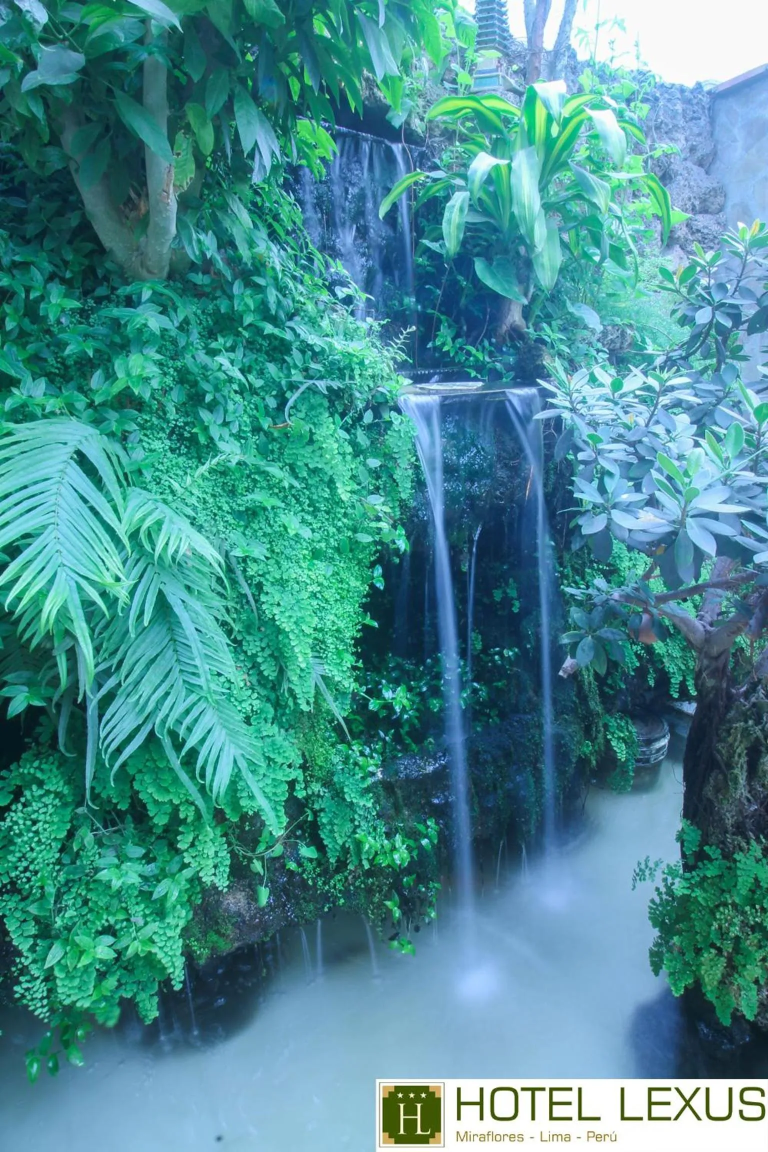 Garden in Hotel Lexus