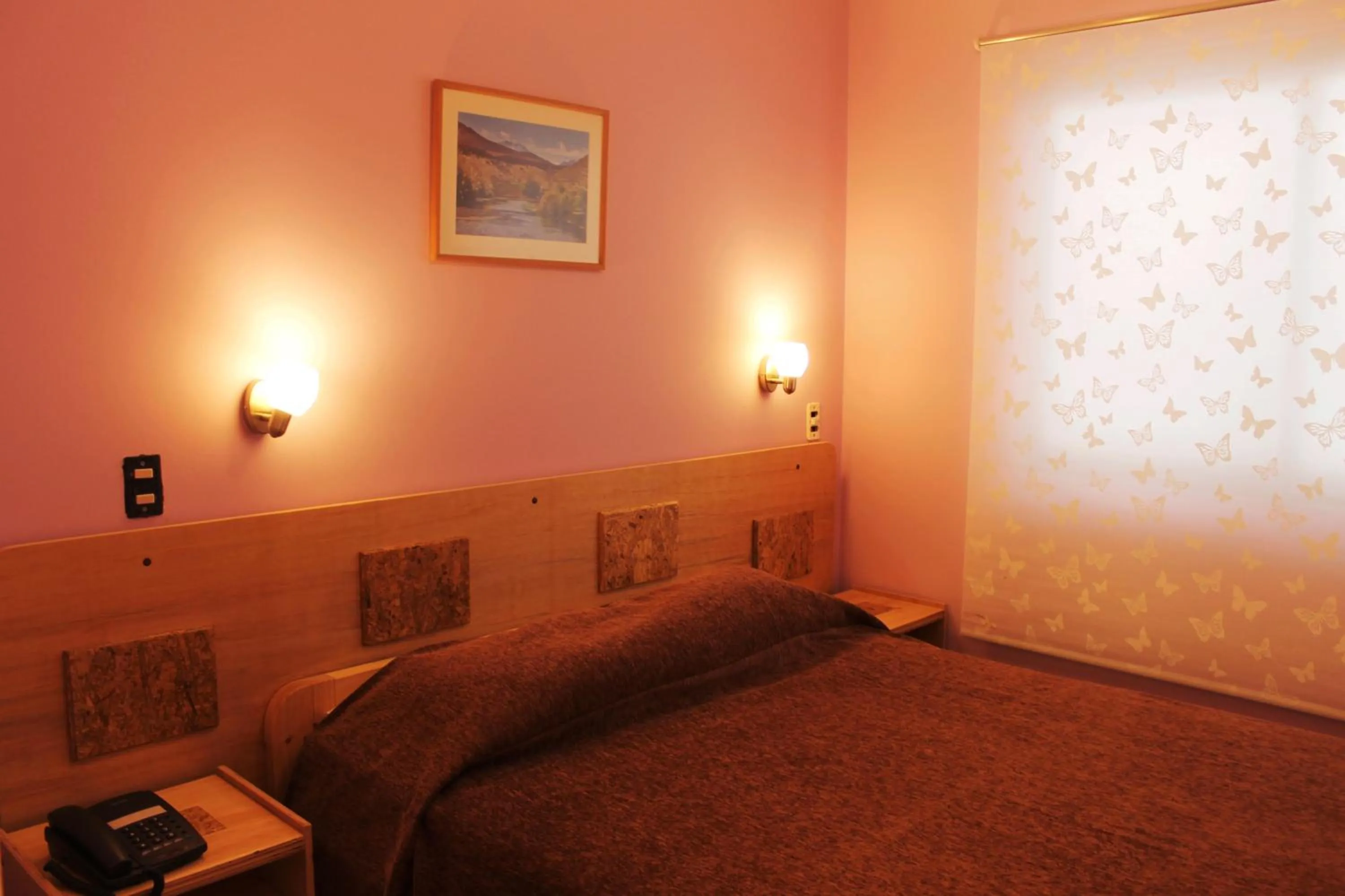 Bed in Ayelen Express