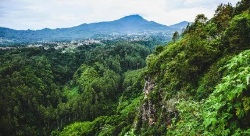 Casa D' Ladera Hotel