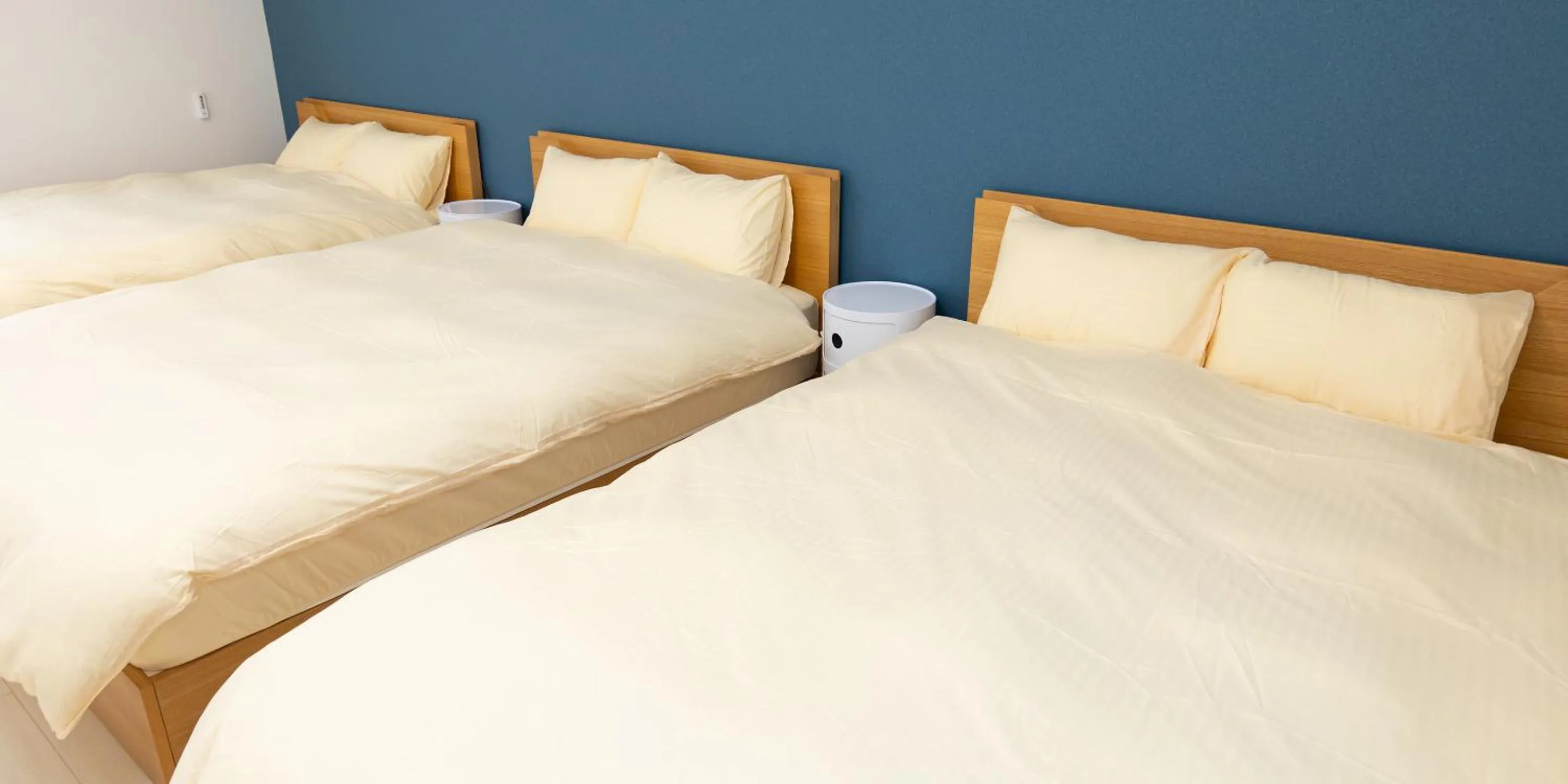 Bed in Kinugawa Station Front