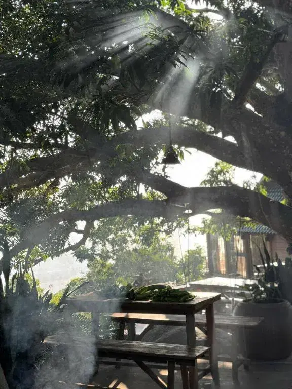 Mango House - Seaview - Homestay. Mango House - Seaview - Homestay.