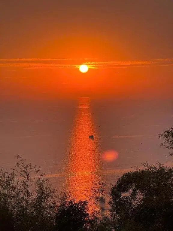 Mango House - Seaview - Homestay. Mango House - Seaview - Homestay.