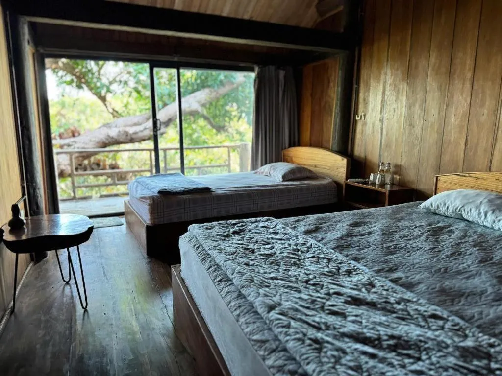 Bed in Mango House - Seaview - Homestay.