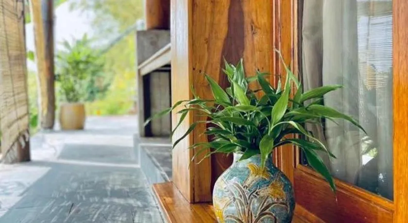 Mango House - Seaview - Homestay.