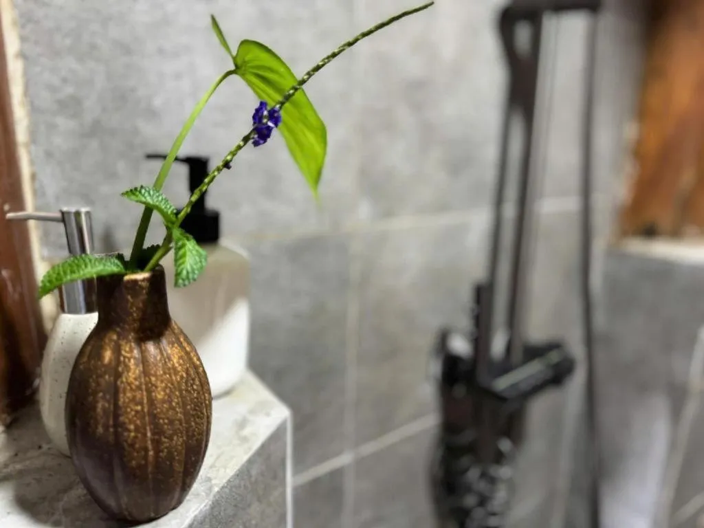 Mango House - Seaview - Homestay.