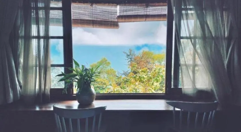 Mango House - Seaview - Homestay.