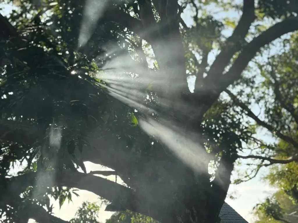 Mango House - Seaview - Homestay. Mango House - Seaview - Homestay.