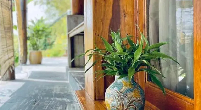 Mango House - Seaview - Homestay. Mango House - Seaview - Homestay.