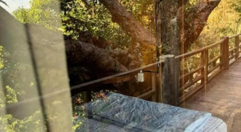 Mango House - Seaview - Homestay.