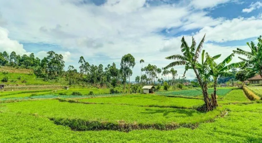OYO Homes 90991 Eco Tourism Desa Panundaan Ciwidey 2 Syariah