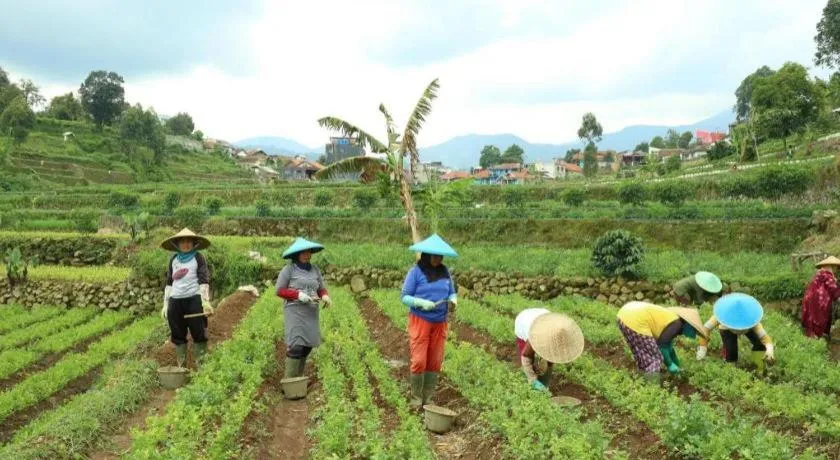 OYO Homes 90991 Eco Tourism Desa Panundaan Ciwidey 2 Syariah