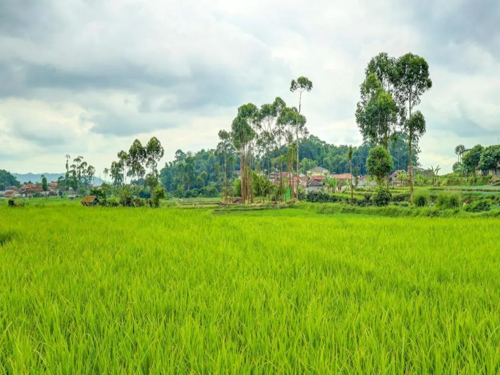 OYO Homes 90991 Eco Tourism Desa Panundaan Ciwidey 2 Syariah