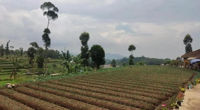 OYO Homes 90991 Eco Tourism Desa Panundaan Ciwidey 2 Syariah