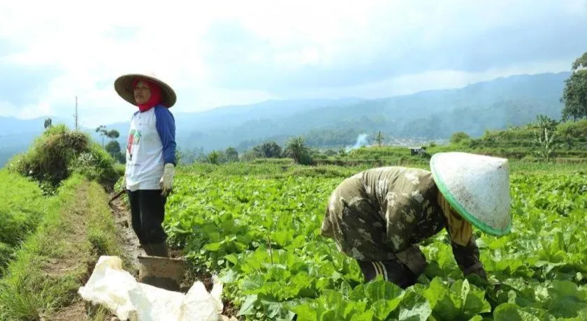 OYO Homes 90991 Eco Tourism Desa Panundaan Ciwidey 2 Syariah