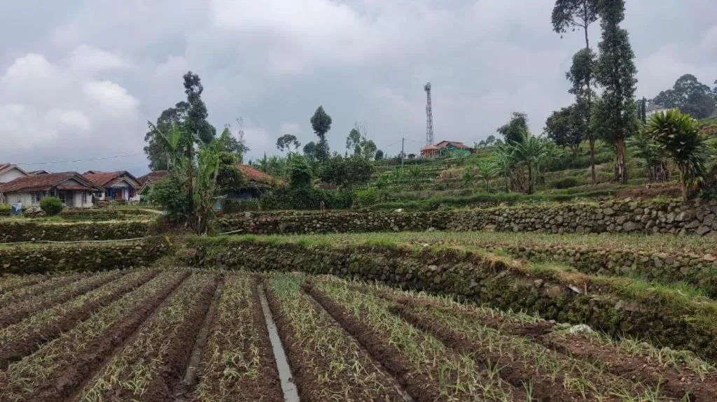 OYO Homes 90991 Eco Tourism Desa Panundaan Ciwidey 2 Syariah