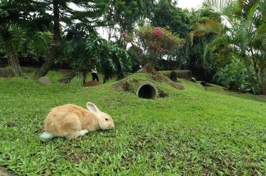 OYO Homes 90991 Eco Tourism Desa Panundaan Ciwidey 2 Syariah