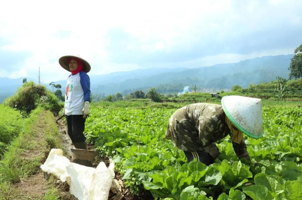 OYO Homes 90991 Eco Tourism Desa Panundaan Ciwidey 2 Syariah