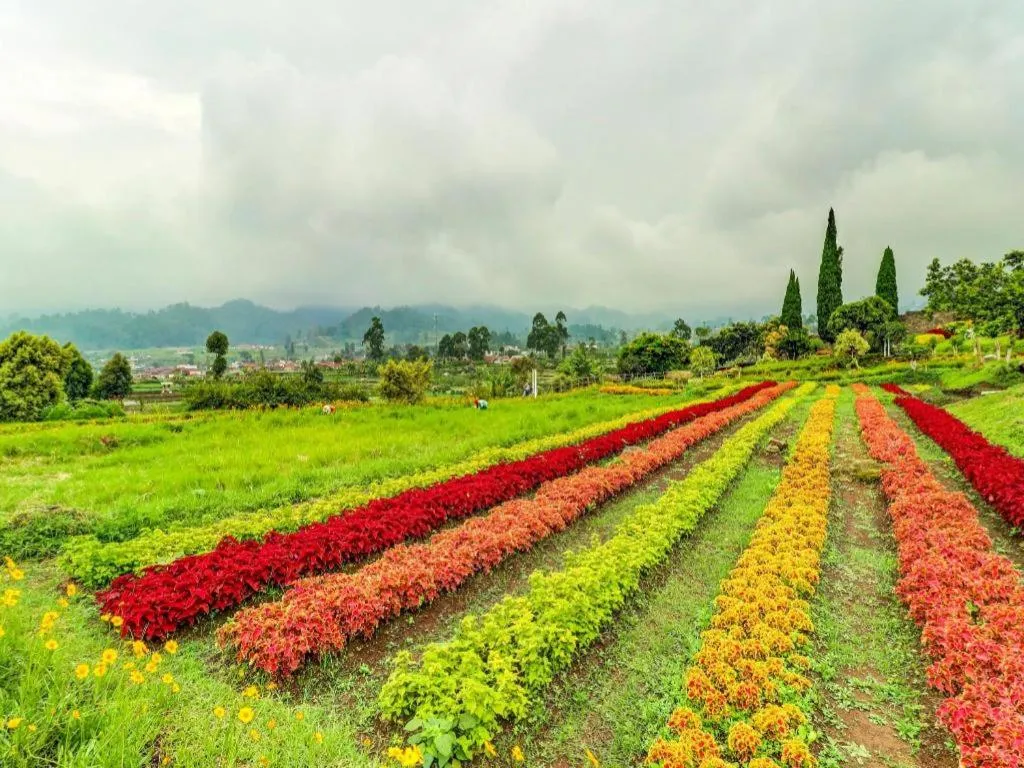OYO Homes 90991 Eco Tourism Desa Panundaan Ciwidey 2 Syariah