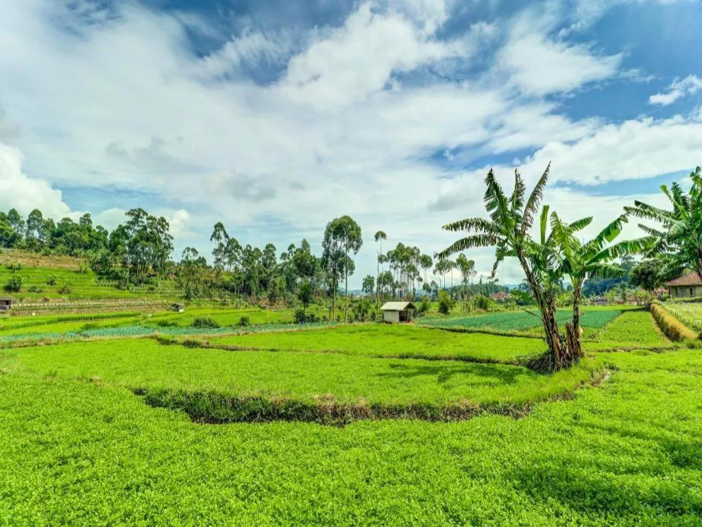OYO Homes 90991 Eco Tourism Desa Panundaan Ciwidey 2 Syariah