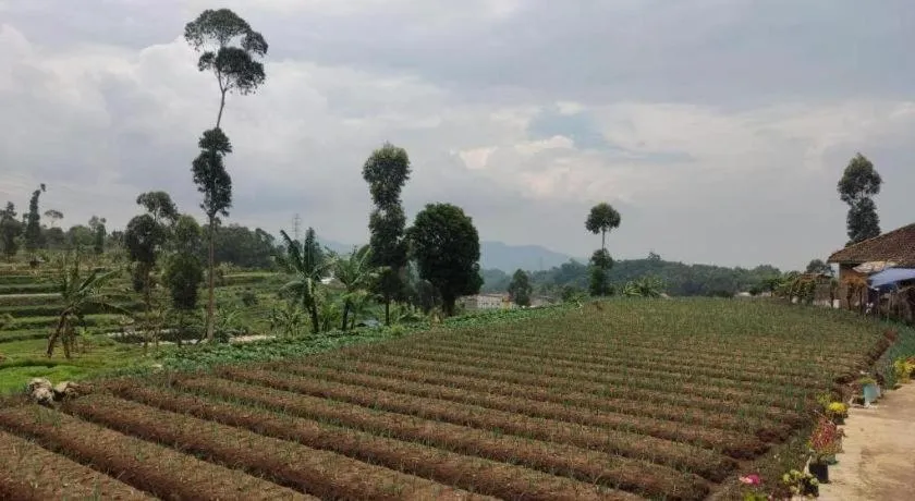 OYO Homes 90991 Eco Tourism Desa Panundaan Ciwidey 2 Syariah