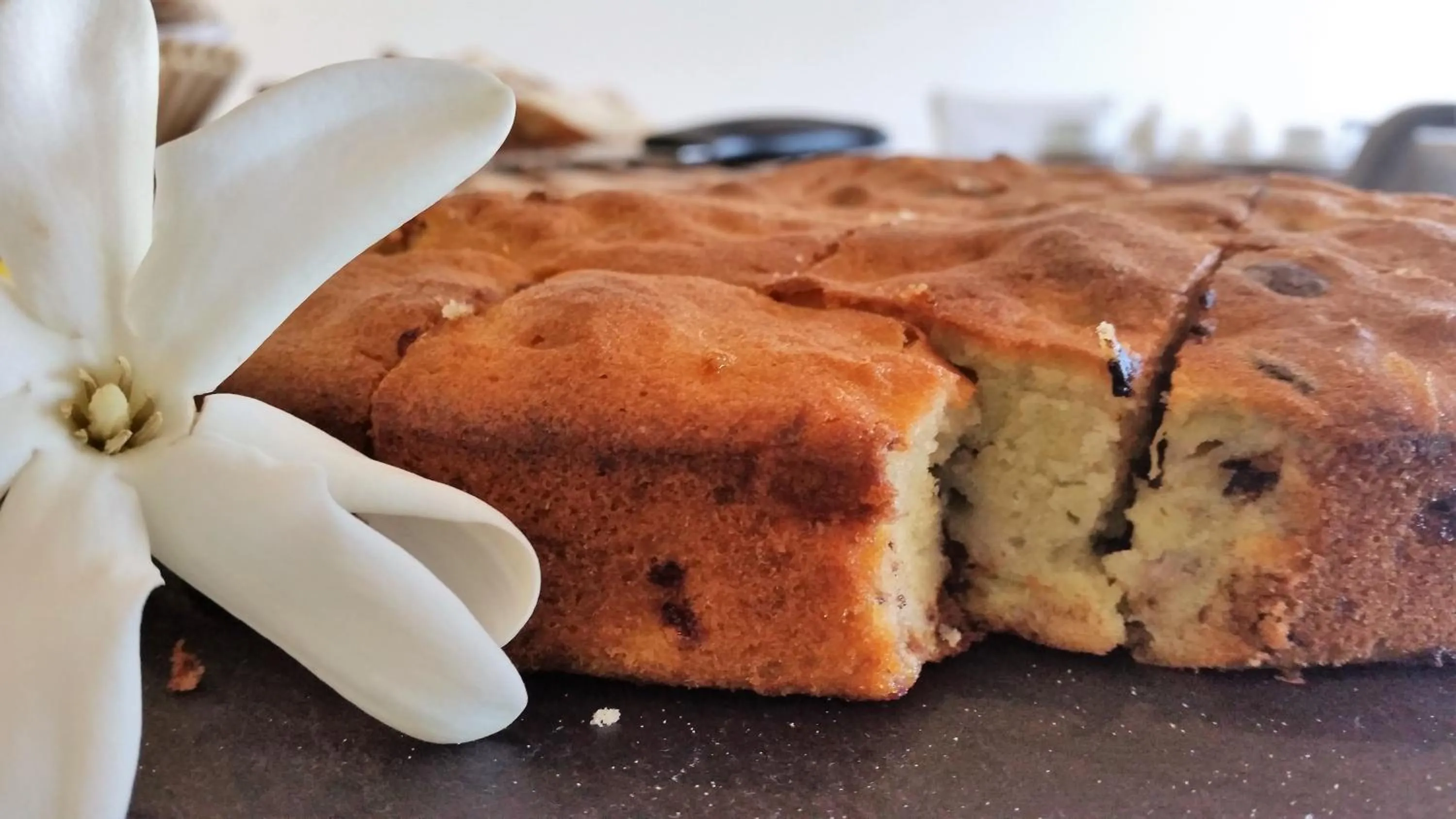 Food close-up in Fare Suisse Tahiti - Guesthouse