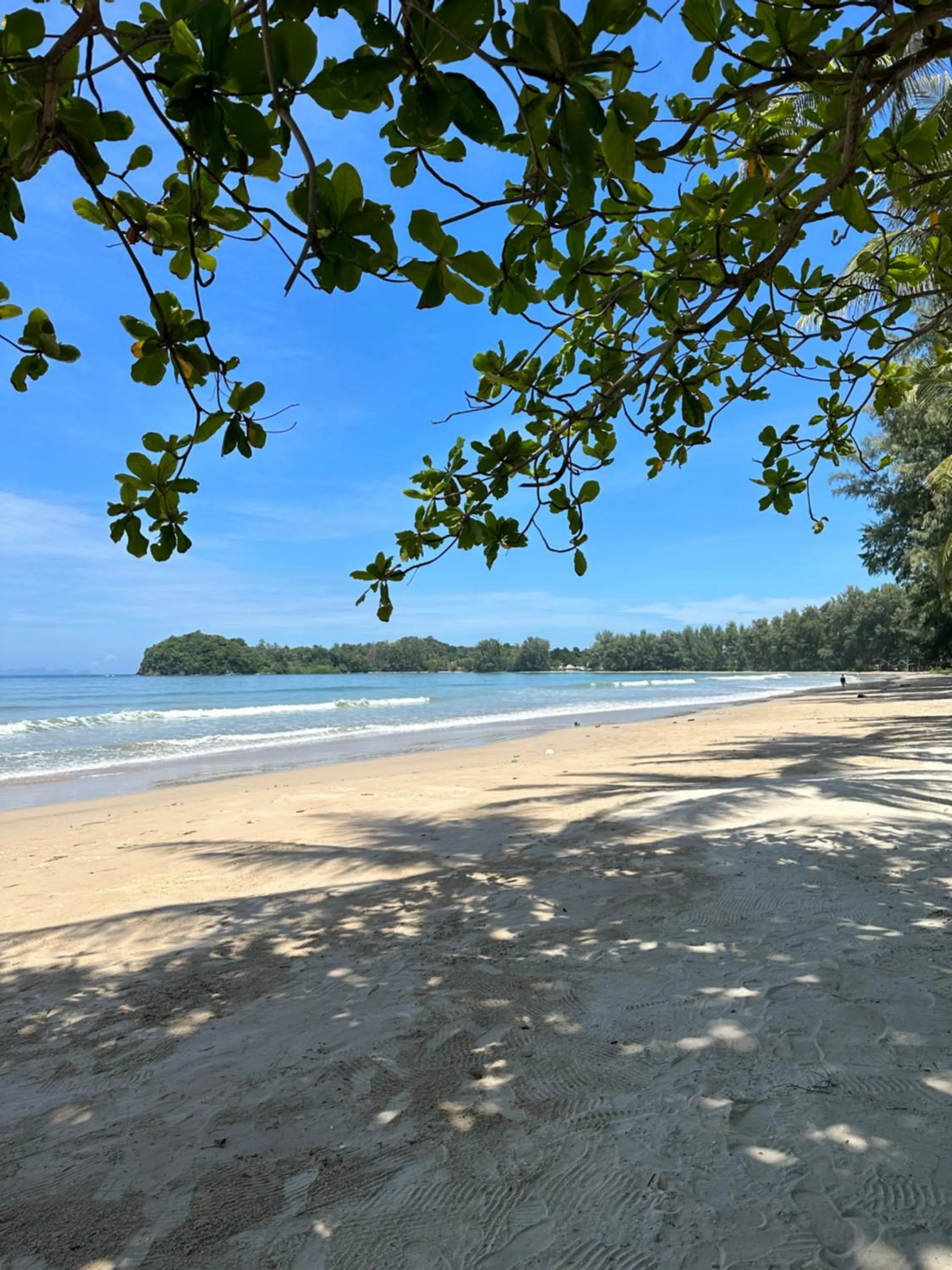 Beach in Noble House Beach Resort