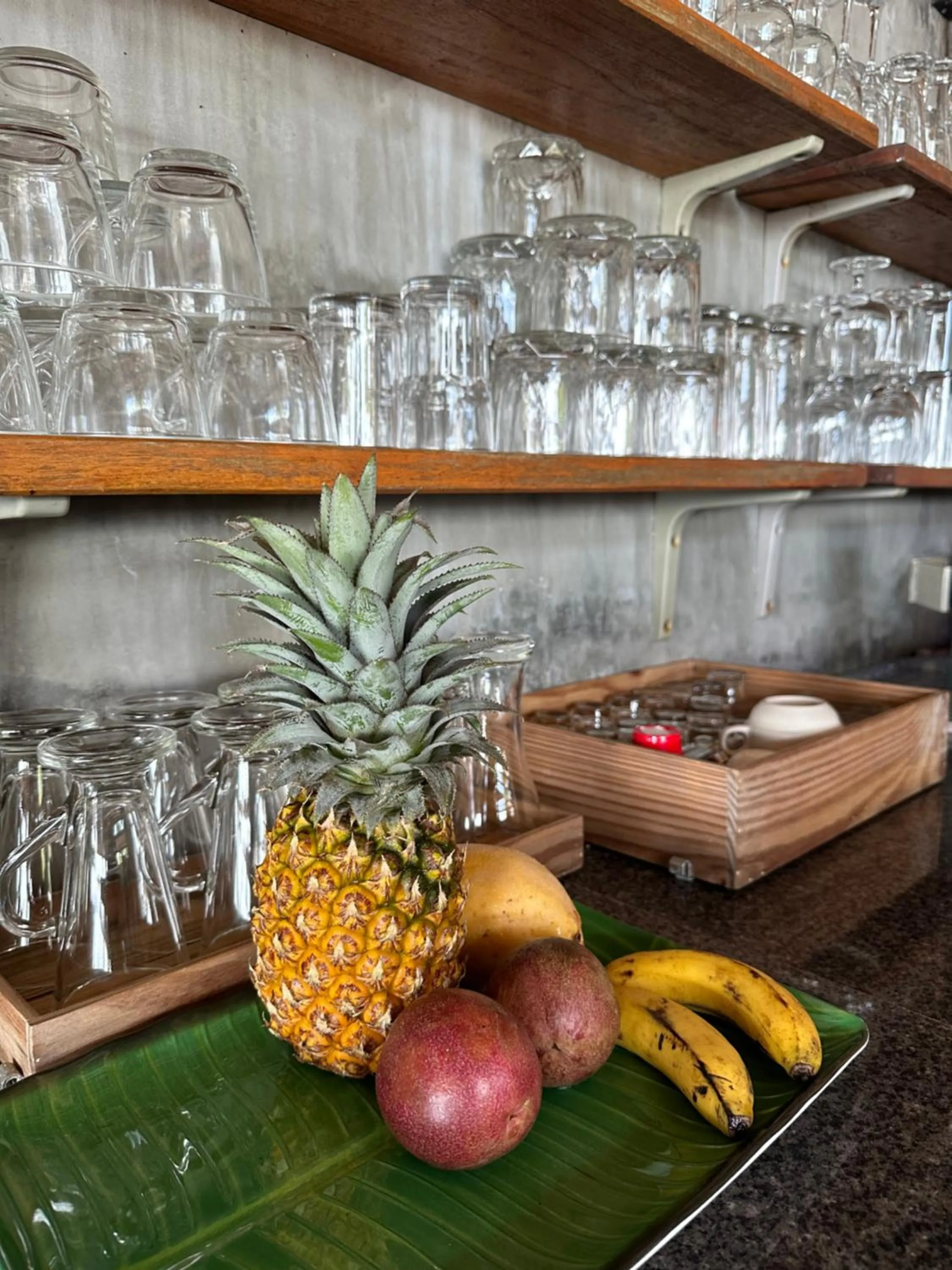 Lounge or bar in Noble House Beach Resort