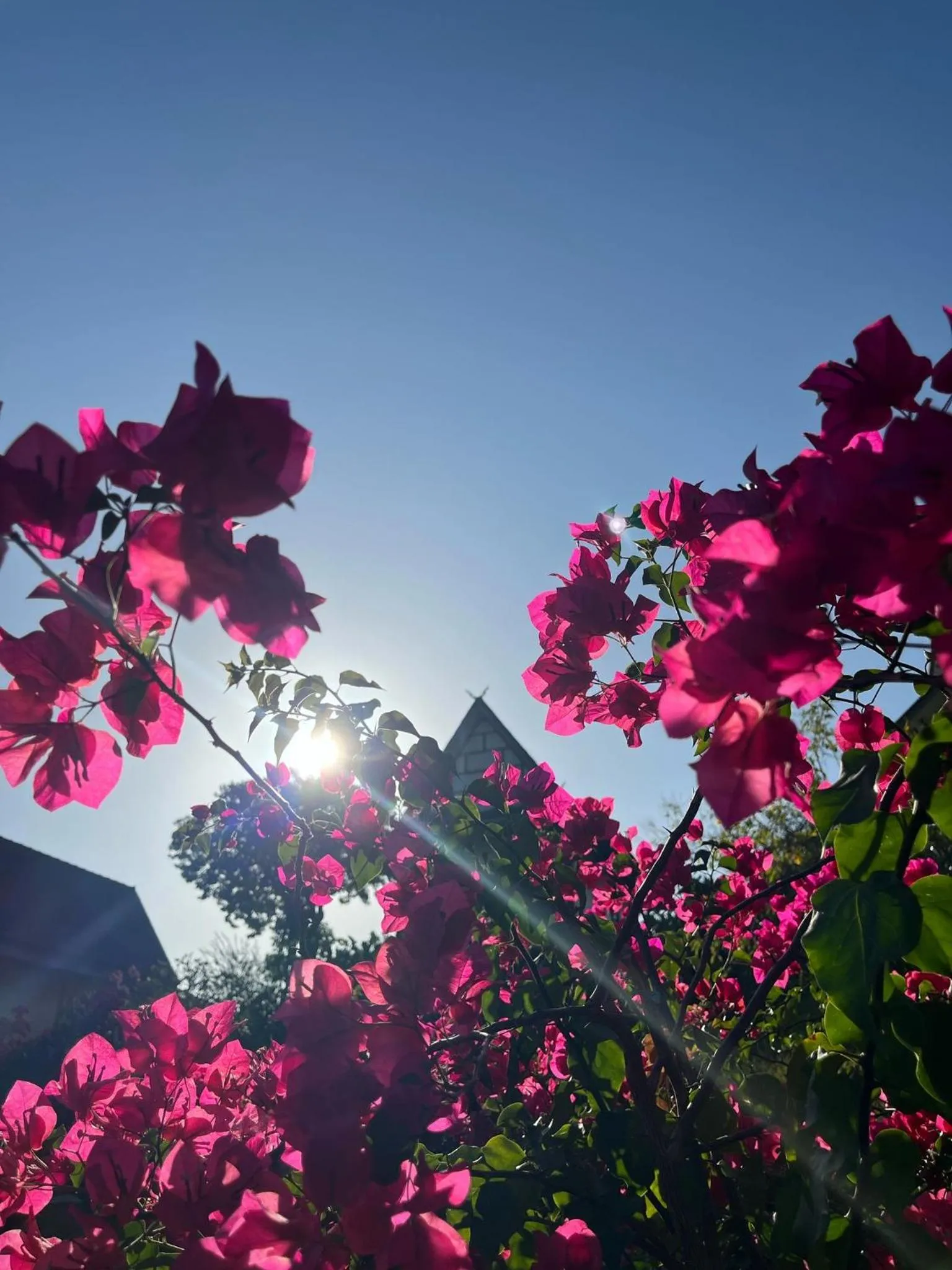 Spring in Phuchawee Lanta