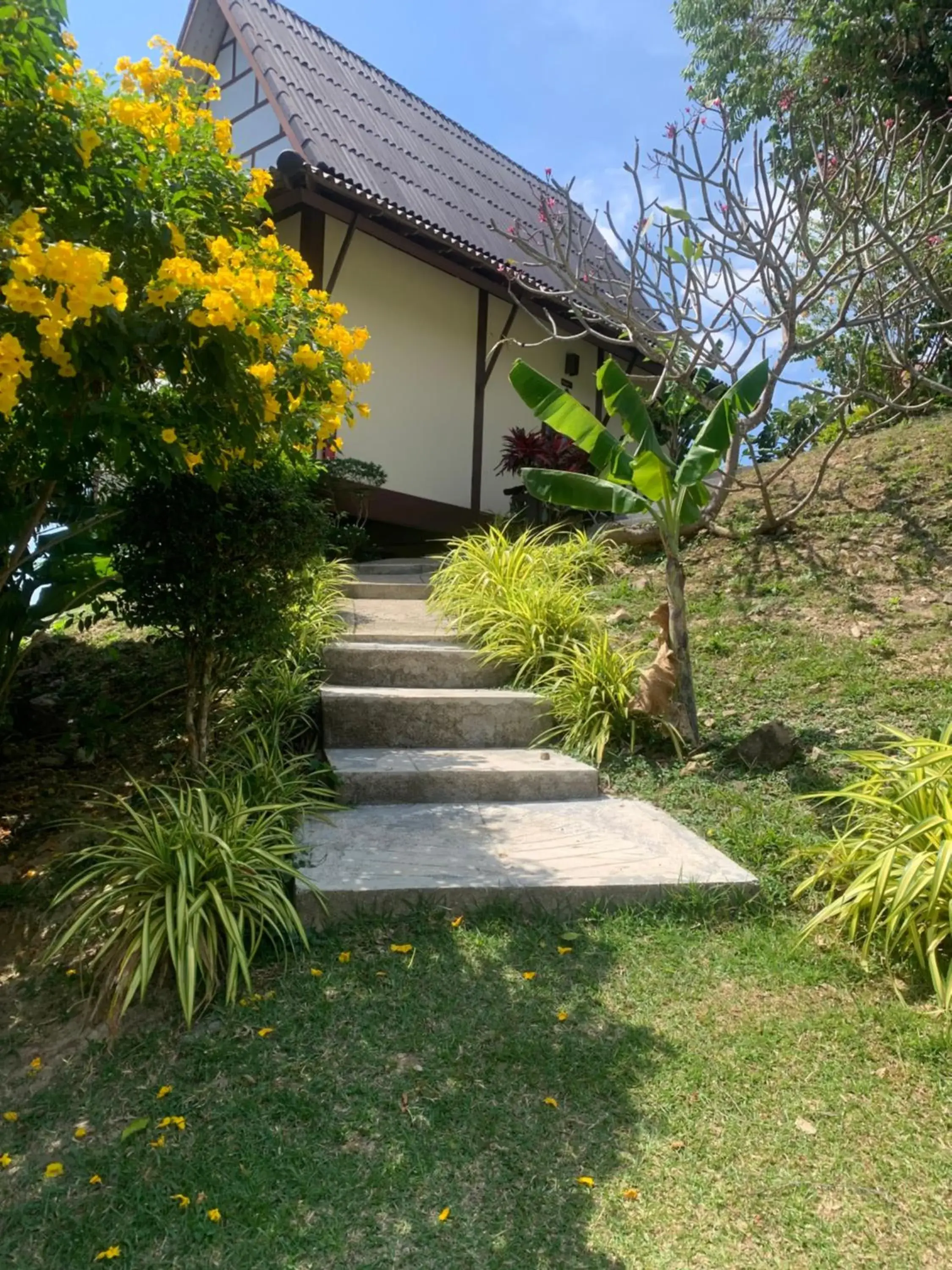 Property building in Phuchawee Lanta Property building in Phuchawee Lanta