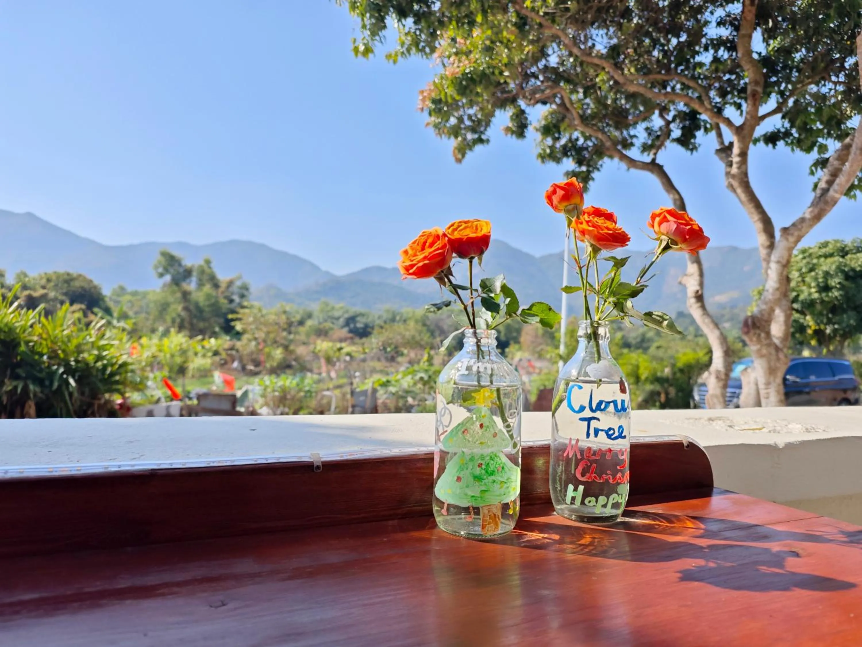 Spring in Cloud Tree Inn Boutique Guesthouse XiChong DaPeng ShenZhen 深圳大鹏西涌云树里民宿Yun Shu Li