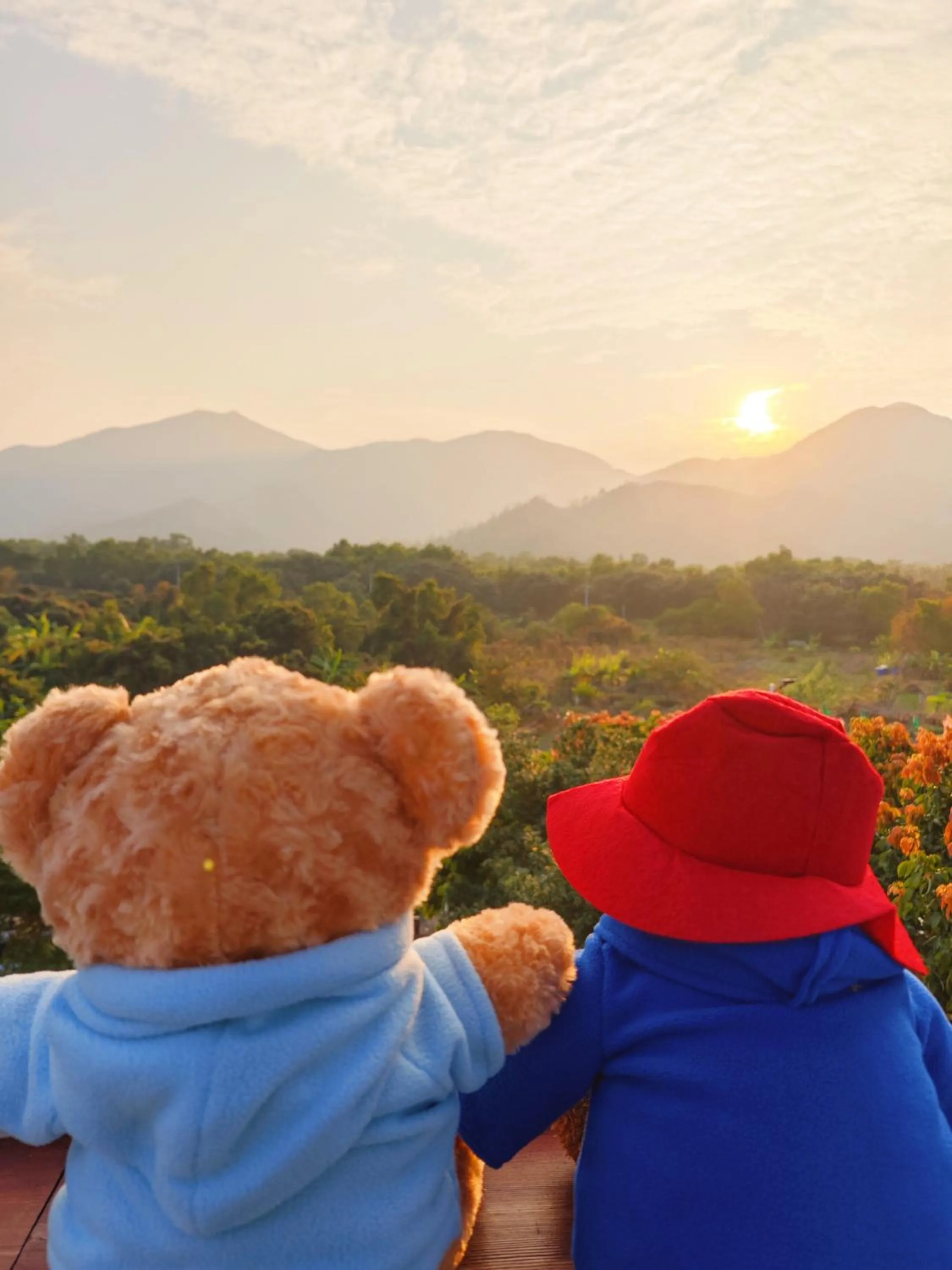 Mountain view in Cloud Tree Inn Boutique Guesthouse XiChong DaPeng ShenZhen 深圳大鹏西涌云树里民宿Yun Shu Li