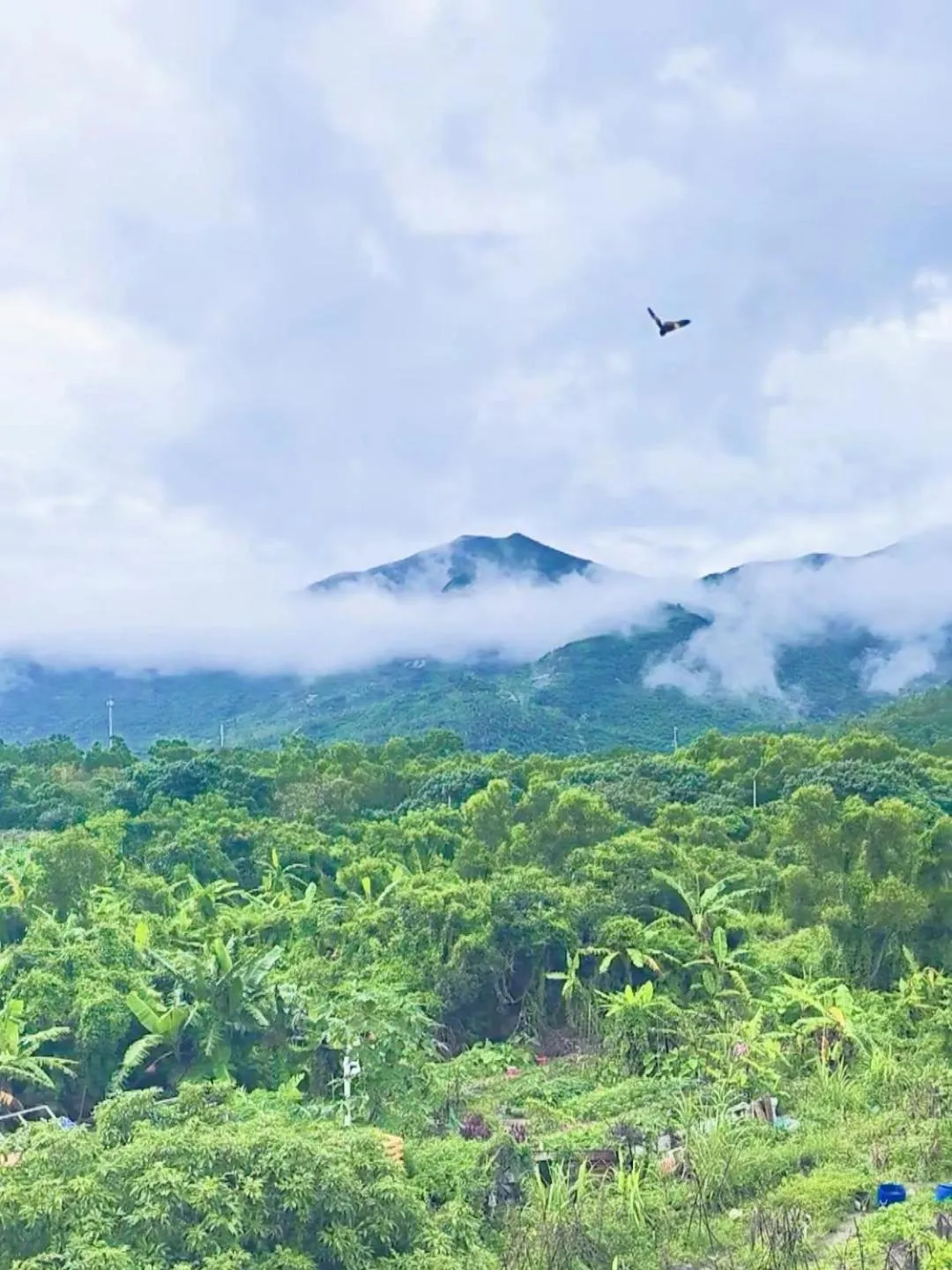 View (from property/room) in Cloud Tree Inn Boutique Guesthouse XiChong DaPeng ShenZhen 深圳大鹏西涌云树里民宿Yun Shu Li