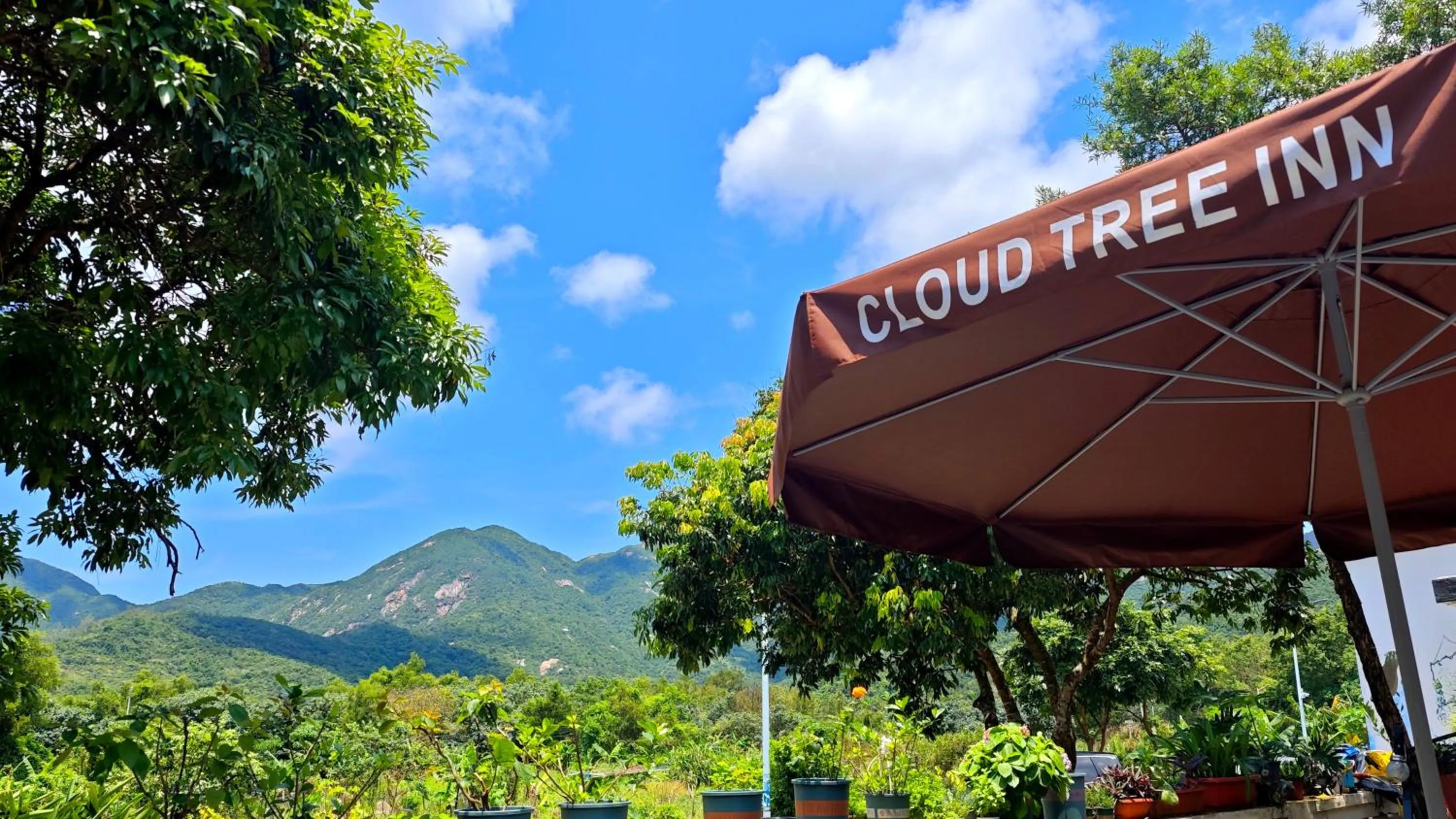 Mountain view in Cloud Tree Inn Boutique Guesthouse XiChong DaPeng ShenZhen 深圳大鹏西涌云树里民宿Yun Shu Li