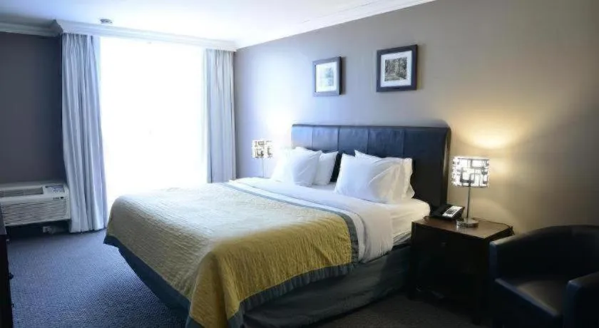 Bed in Edward Hotel North York