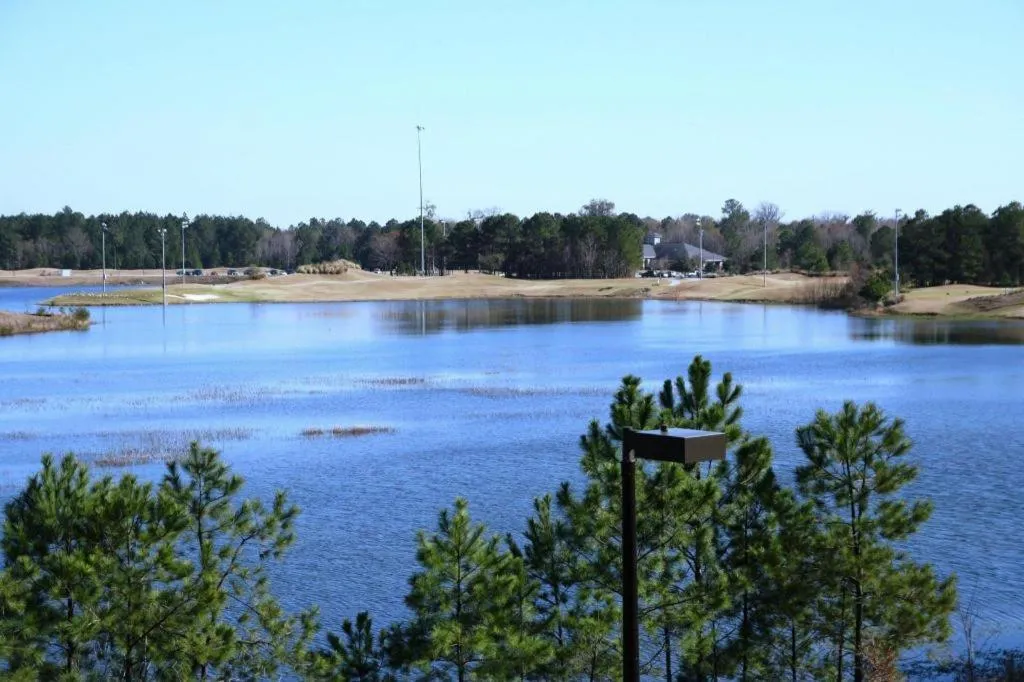 Hampton Inn & Suites Savannah-Airport