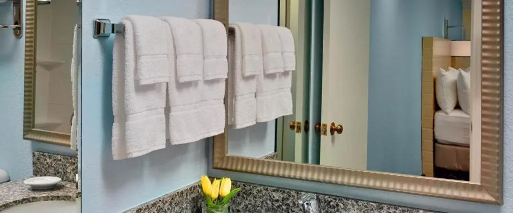 Sonesta ES Suites Ann Arbor