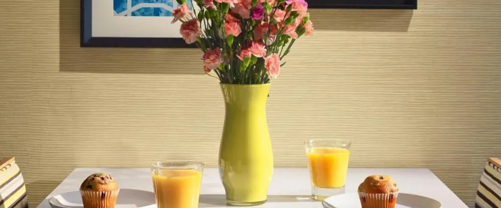 Sonesta ES Suites Ann Arbor