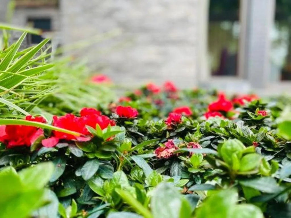 Xinjin Celebrity City Hotel