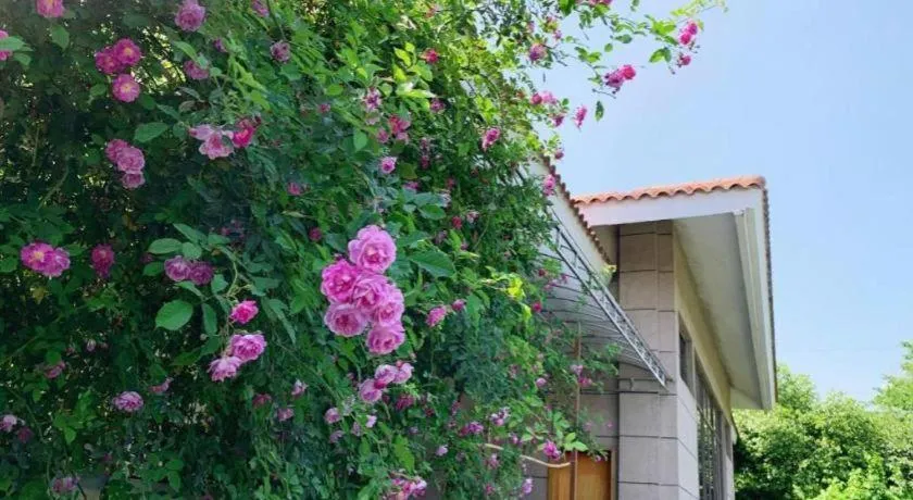 Xinjin Celebrity City Hotel