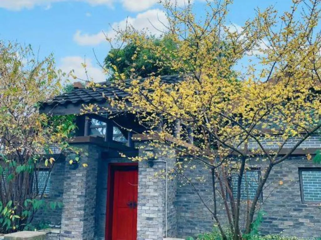 Xinjin Celebrity City Hotel