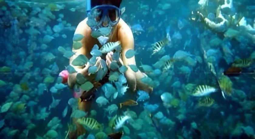 67th Heaven Holiday Resort