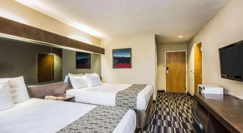 Bed in Microtel Inn & Suites by Wyndham Chattanooga/Near Hamilton P
