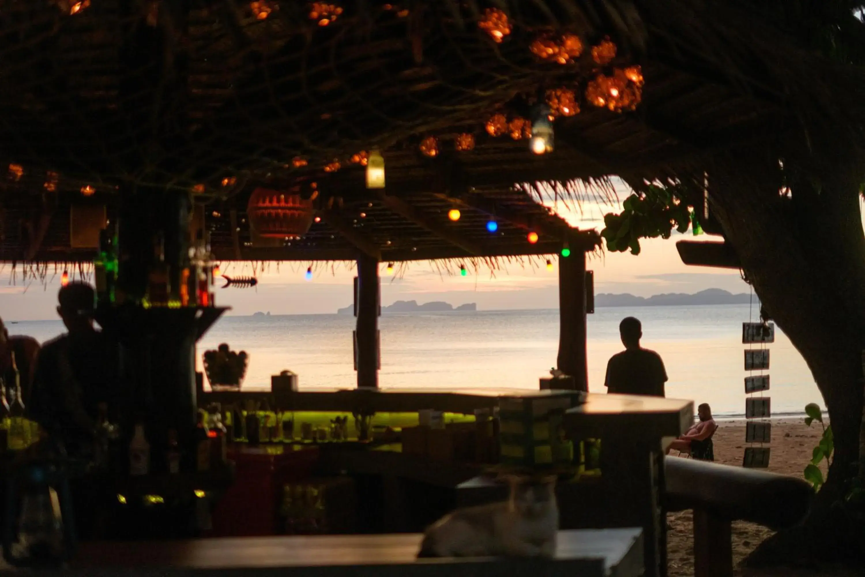 Natural landscape in JOY Bungalow Resort and Restaurant Natural landscape in JOY Bungalow Resort and Restaurant