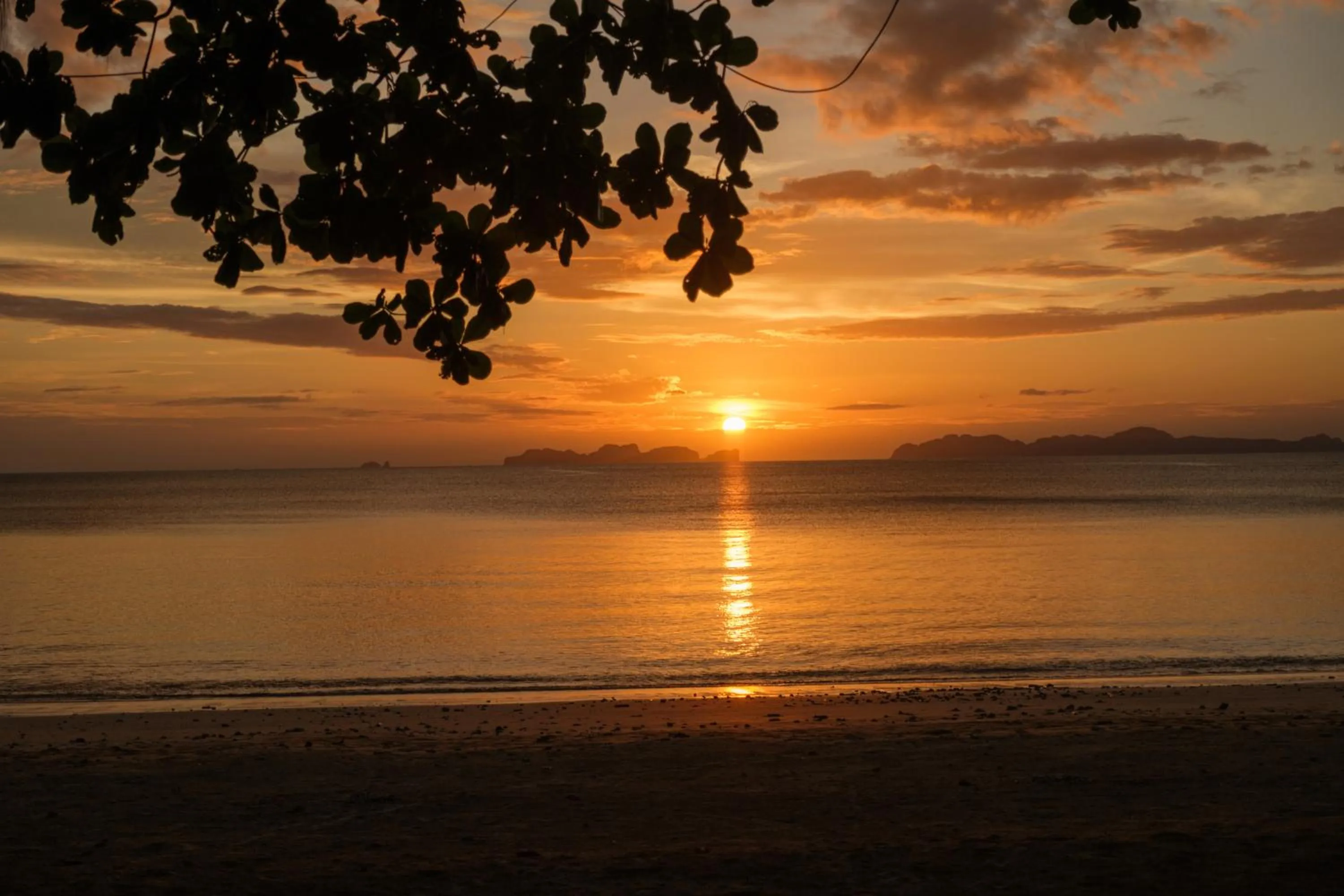 Natural landscape in JOY Bungalow Resort and Restaurant